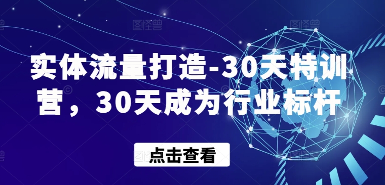 实体流量打造-30天特训营，30天成为行业标杆-灰子网创