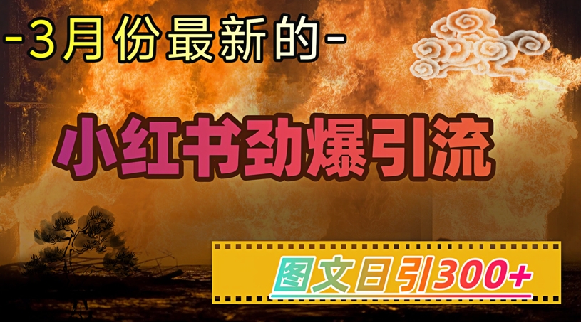 小红书超劲爆引流手段，图文日引300+轻松变现1W-灰子网创