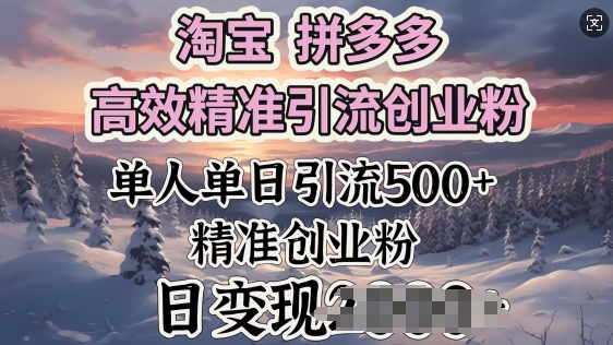 淘宝拼多多高效精准引流创业粉，单人单日引流500+创业粉，日变现多张-灰子网创