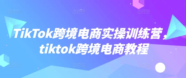 TikTok跨境电商实操训练营，tiktok跨境电商教程-灰子网创