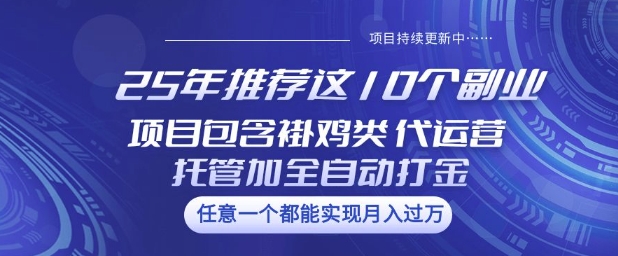 25年推荐这10个副业项目包含褂鸡类、代运营托管类、全自动打金类【揭秘】-灰子网创
