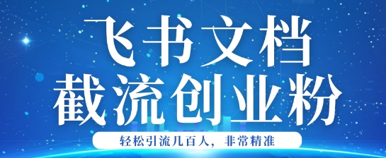 利用飞书文档截流创业粉轻松引流200+-灰子网创