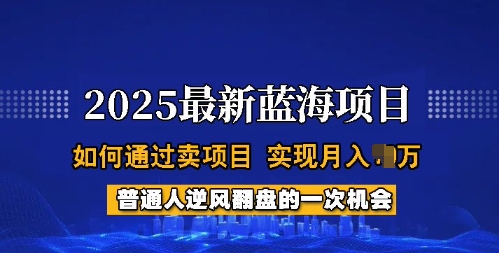 2025蓝海项目，普通人如何通过卖项目，实现月入过W，全过程【揭秘】-灰子网创