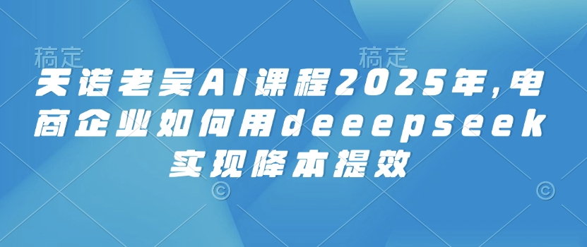 天诺老吴AI课程2025年，电商企业如何用deeepseek实现降本提效-灰子网创