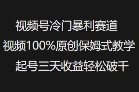 视频号冷门暴利赛道视频100%原创保姆式教学起号三天收益轻松破千-灰子网创