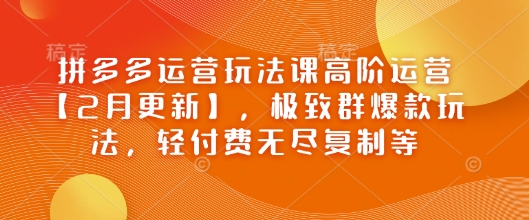 拼多多运营玩法课高阶运营【2月更新】，极致群爆款玩法，轻付费无尽复制等-灰子网创