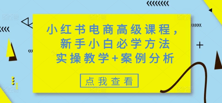 小红书电商高级课程，新手小白必学方法，实操教学+案例分析-灰子网创