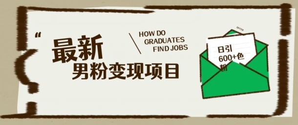 最新男粉变现项目，日引100+S粉，流量爆炸，小白轻松上手-灰子网创