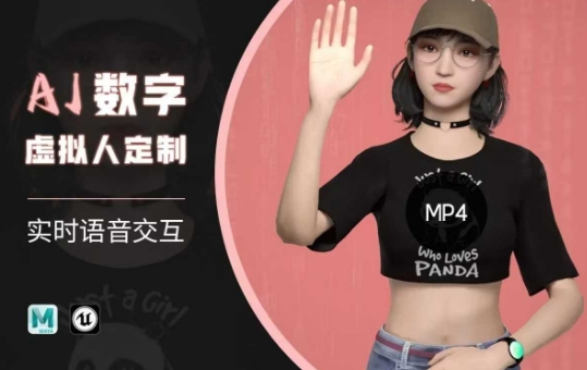 Ai数字人虚拟(智能体)实时语音交互特训营，​自行定制超写实角色AI数字人交互技术-灰子网创