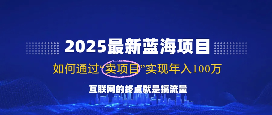 （14305期）2025最新蓝海项目，零门槛轻松复制，月入10万+，新手也能操作！-灰子网创